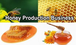 Honey business