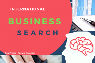 International business search