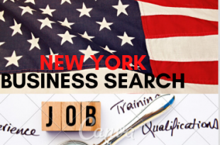 New york business search