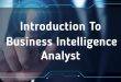 Intelligence Business Analyst