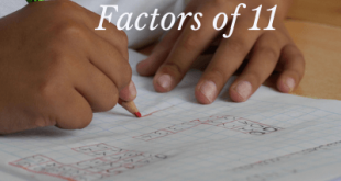 Factors of 11
