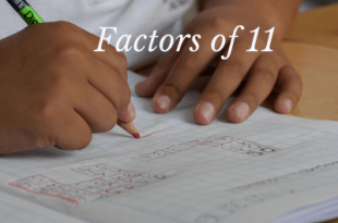 Factors of 11