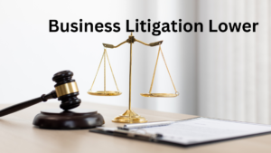 Business litigation lawyer 