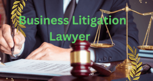 What Does A Business Litigation Lawyer In USA